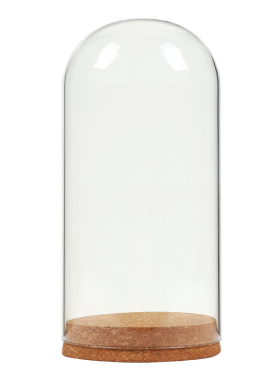 永生花干花玻璃罩防尘罩展示盒