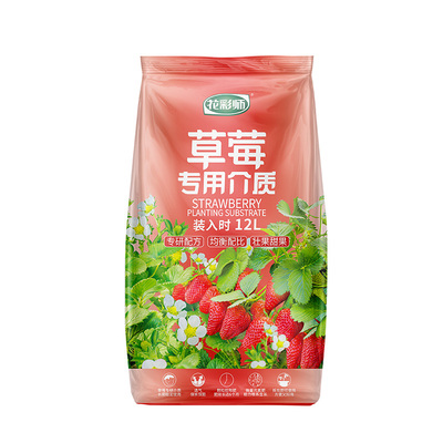 花彩师草莓种植专用土加速生长