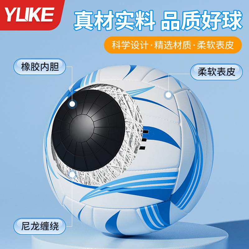 排球中考学生专用5号标准训练比赛男女小学生排2024初中生硬软式