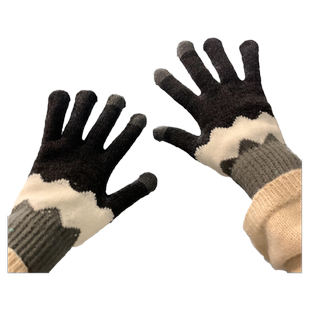 韩国手套女冬季可爱骑车骑行男防寒保暖加绒加厚触屏学生分指冬天