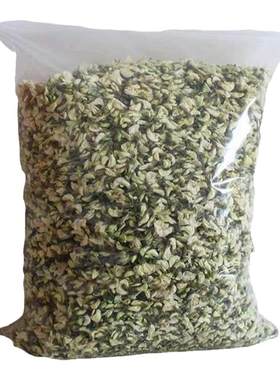 洋槐树苗 洋槐花树 庭院行道刺槐树槐树苗槐花树苗槐树花苗可食用
