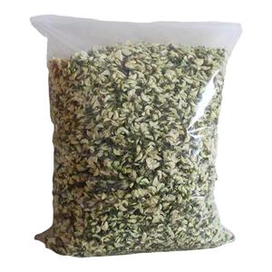 洋槐树苗 洋槐花树 庭院行道刺槐树槐树苗槐花树苗槐树花苗可食用