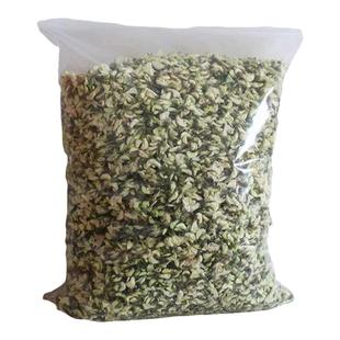 洋槐树苗 洋槐花树 庭院行道刺槐树槐树苗槐花树苗槐树花苗可食用