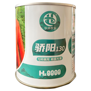 华洲骄阳130胡萝卜种子三红根长顺直脆甜耐热红心家庭蔬菜种籽孑
