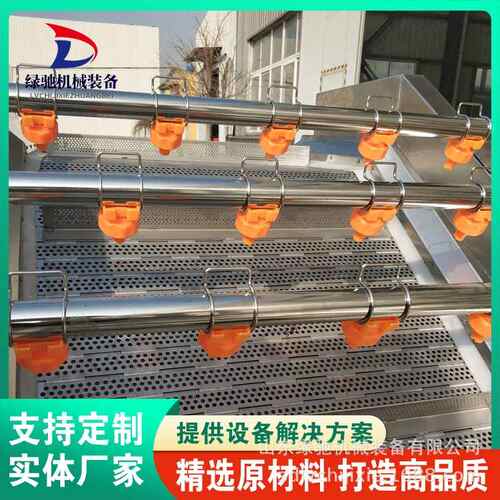 非标定制果蔬加工设备 大型全自动气泡请洗机 生姜鼓浪式洗菜机