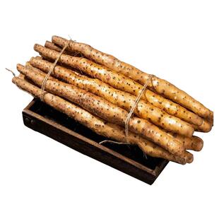 温县铁棍山药旗舰店 正宗垆土河南焦作怀山药铁杆山药现挖50cm5斤