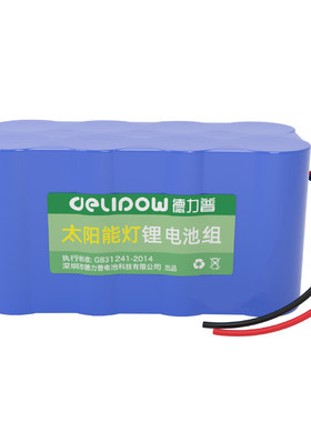 德力普6.4V12.8V户外灯电池组