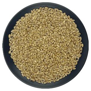 淮小麦中药材新鲜去皮麦子普通小麦籽子枕头颗粒散装鸽粮批发干货