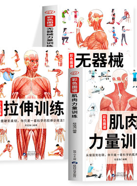 正版 肌肉力量训练彩色图谱+拉伸训练彩色图谱+无器械力量训练彩色图谱 运动解剖学肌肉图谱肌肉松解动作指导 健美训练健身书籍