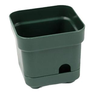 多肉植物方盆塑料四足地气盆 蓄水花盆 加厚绿植花卉盆景盆带托盘