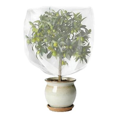 蓝莓果树透明防虫防鸟网罩