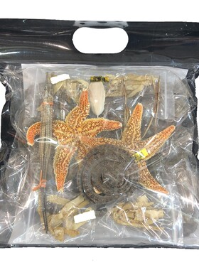 北海特产海宝泡酒料800克海味