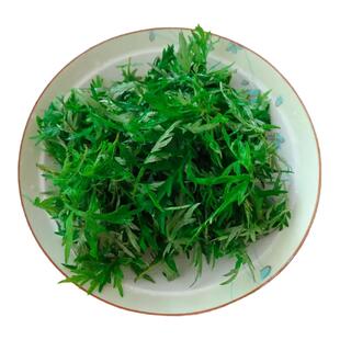 艾叶新鲜四川艾草嫩尖野生甜艾草叶艾蒿清明草糍粑艾青团嫩尖蔬菜