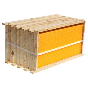 中蜂成品巢框蜜蜂蜡巢础全套巢脾意蜂蜂框蜂巢标准蜜蜂箱养蜂工具