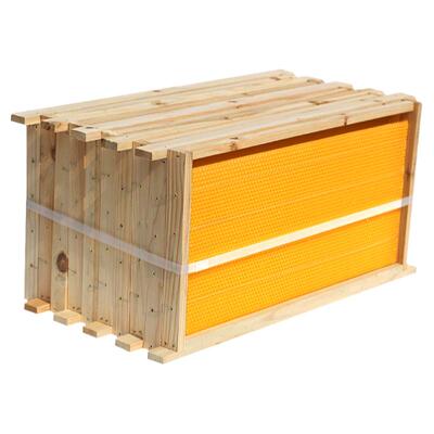 欣华豫中蜂成品巢框蜂蜡巢础