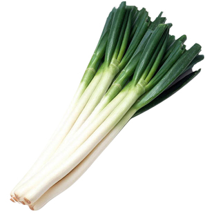 北方种的蔬菜种子大全四季萝卜白菜菠菜菜心大葱高产阳台菜籽孑