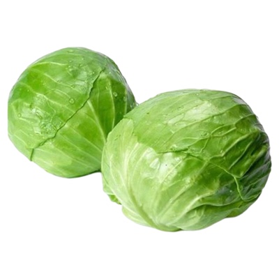 老品牌京丰一号甘蓝种子包菜种子