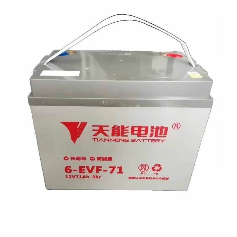 正品天能铅酸免维护电瓶蓄电池