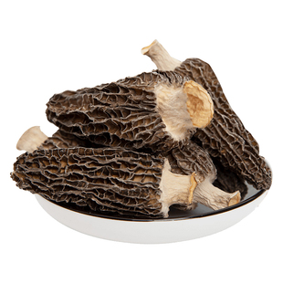 新货干货羊肚菌非特级鲜牛肚菌菇香菇干货非野生农家菌菇煲汤食材