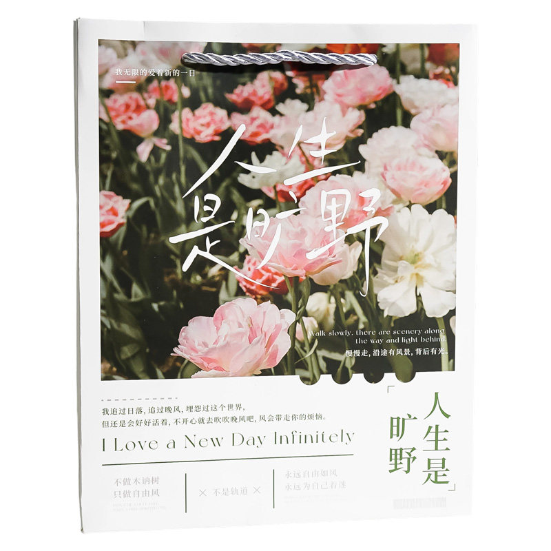 人生是旷野ins文艺礼品袋