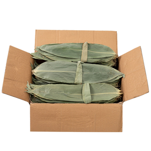 粽子叶新鲜大号5斤箬叶棕叶包粽子的叶子南方商用本地粽叶干大号