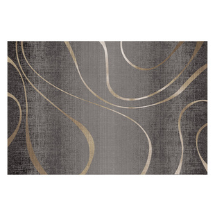 入户门地垫进门门口轻奢高级感2025新款门垫脚垫家用玄关耐脏防滑