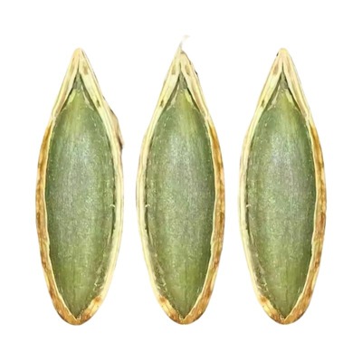 新疆特产大颗粒原味椒盐味南瓜子