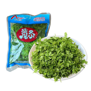 花椒芽 新鲜口感袋装含水花椒叶花椒嫩芽山野菜凉拌花椒芽做酱