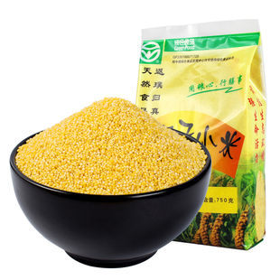 八家子小米750g*3黑龙江双城黄小米油丰厚东北特产杂粮粗粮
