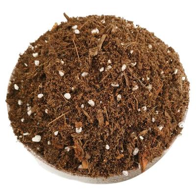 通用进口泥炭土营养土彩乐植