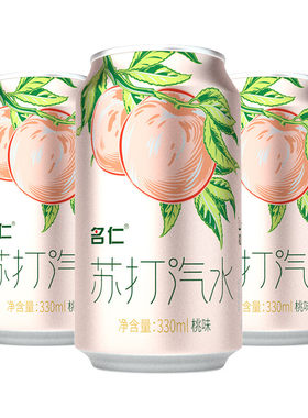 名仁苏打气泡水饮料整箱