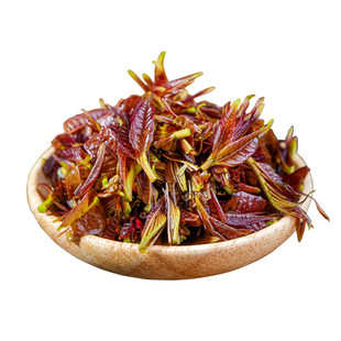 露天头茬香椿芽当季食用新鲜现摘野生香椿芽香椿叶蔬菜春天菜包邮