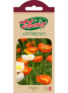 萌吖吖草花种子虞美人种子