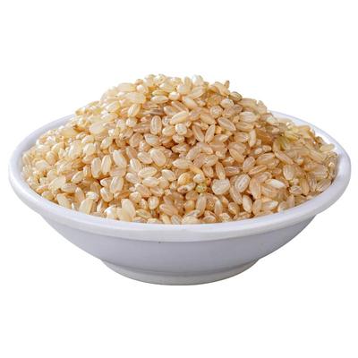 5斤糙米新米低脂饱腹健身主食