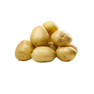 山东荷兰脱毒原种高产早熟黄心黄皮大土豆种子马铃薯种带芽批发