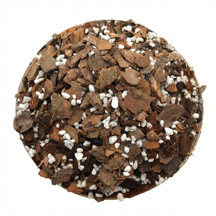 兰花专用土植料营养土君子兰蝴蝶兰种植颗粒松树皮兰草兰科兰花土