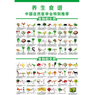 相生相克表健康营养养生食谱食物热量对照表大全海报食物相克挂图