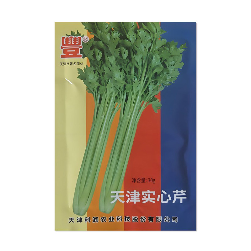 天津实心芹菜种子蔬菜种子籽