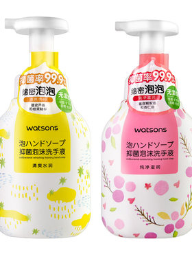 抑菌纯净花果香300ml泡沫洗手液