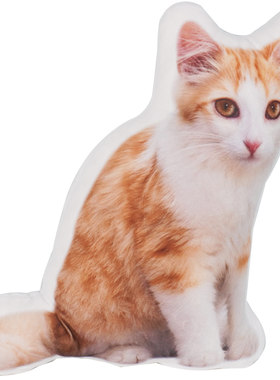 异形猫猫狗狗兔鸟纪念动物抱枕