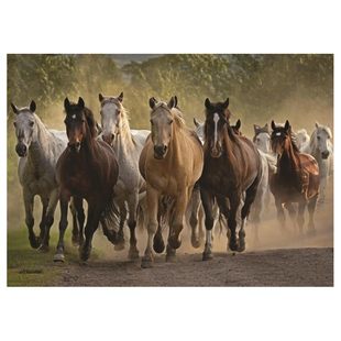 现货包邮 JUMBO 荷兰进口成人益智拼图玩具18541 骏马1000片礼物