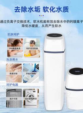 定制全屋别墅中央全自动软水机除水垢净水一体大流量家用软水器
