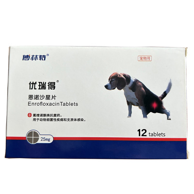 宠物狗狗猫咪尿路感染尿道膀胱炎