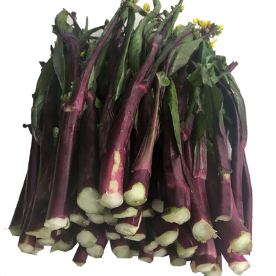 余胖子红菜苔新鲜现摘包邮