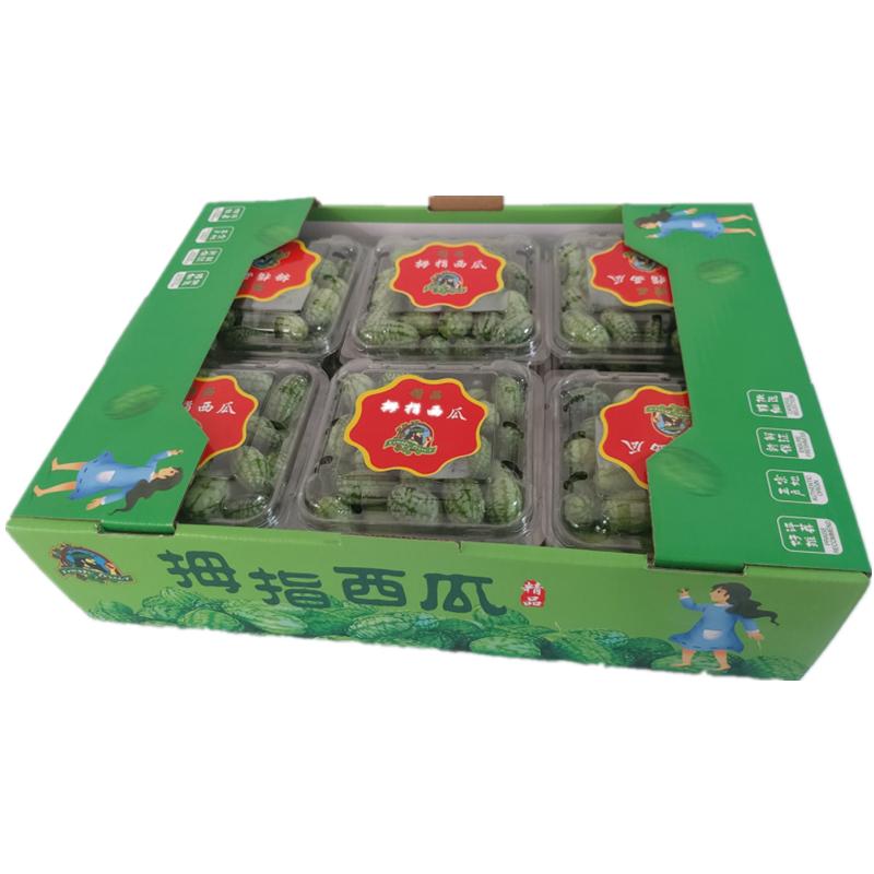 拇指西瓜鲜果佩普基诺墨西哥酸黄瓜迷你小水果顺丰包邮