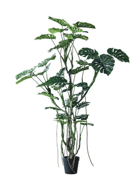 七茉北欧仿真植物假树橱窗造景