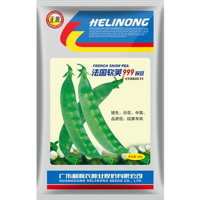 蔬菜法国四季豌豆种子