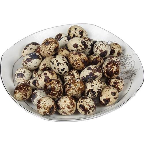 100枚农家生鹌鹑蛋新鲜杂粮生态正宗孕妇宝宝土特产