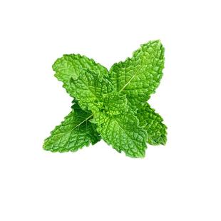 新鲜装饰薄荷头50朵 食用薄荷叶尖芽莫吉托烘焙调酒茶饮摆盘装饰