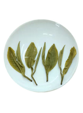 云南普洱明前茶一芽特级碧螺春